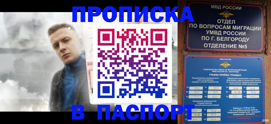 временная регистрация в Камчатской области